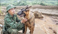  Đêm lo, ngày ngóng ở Làng Nủ 