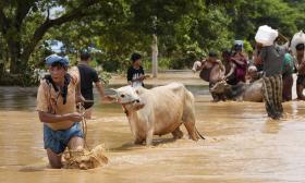 Số người chết vì lũ lụt sau bão Yagi ở Myanmar tăng lên 226  第1张