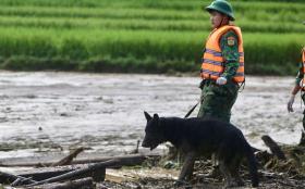 Thông tin tìm thấy 17 hộ với 70 nhân khẩu tại xã Cốc Lầu là chưa chính xác