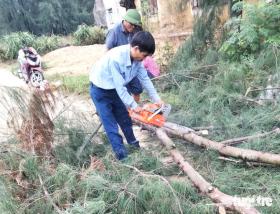 Lốc xoáy làm thiệt hại nhiều nhà dân, hàng trăm cây cối gãy đổ tại Hà Tĩnh