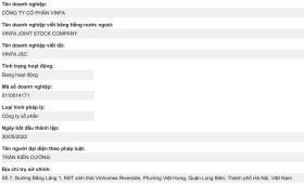 VinFa mà Vingroup vừa thoái hết vốn là doanh nghiệp nào?  第1张