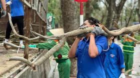  Tuổi trẻ Hải Phòng, Hải Dương khắc phục hậu quả cơn bão số 3 