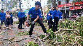  Tuổi trẻ Hải Phòng, Hải Dương khắc phục hậu quả cơn bão số 3 