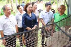 Phó Chủ tịch T.Ư Hội NDVN Bùi Thị Thơm làm việc ở Bình Thuận, thăm Nông dân Việt Nam xuất sắc 2024 