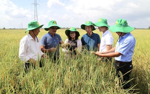 Phó Chủ tịch T.Ư Hội NDVN Bùi Thị Thơm làm việc ở Bình Thuận, thăm Nông dân Việt Nam xuất sắc 2024  第10张