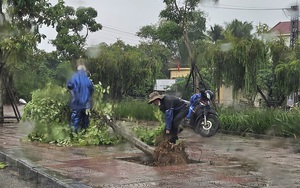 Hàng loạt thủy điện ở Nghệ An mở cửa xả trước giờ bão số 4 đổ bộ  第7张