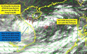 Tin mới nhất về áp thấp nhiệt đới: Còn cách Đà Nẵng 360km, tiếp tục mạnh lên thành bão số 4, giật cấp 10