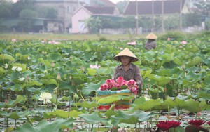 Thợ mộc trứ danh xứ Nghệ ngỡ ngàng trước tài điêu khắc của nghệ nhân xưa tại đình Hoành Sơn  第13张