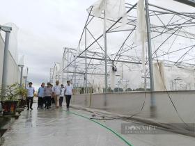 Chủ tịch Hội NDVN Lương Quốc Đoàn thăm hỏi, trao quà tới hội viên nông dân ở Hải Phòng bị thiệt hại do bão Yagi