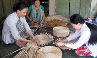  Việt Nam giành thành tích cao tại Cuộc thi Dự án Khoa học ASEAN lần thứ 10 