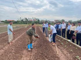 Đồng hành cùng nông dân khôi phục sản xuất