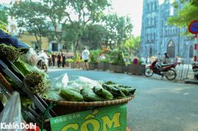 Say đắm mùa Thu Hà Nội trong nắng vàng rực rỡ