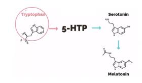 5 HTP và công dụng hỗ trợ cải thiện hội chứng ruột kích thích