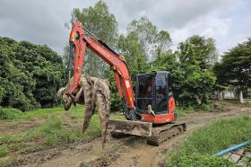 Trang trại Thái Lan tiêu hủy 125 con cá sấu vì lo sổng chuồng trong lũ 