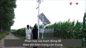 Công nghệ vệ tinh phục vụ nông nghiệp ở Trung Quốc 