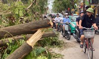  Hải Phòng: 2 giải chạy gây quỹ ủng hộ khắc phục hậu quả do bão số 3 